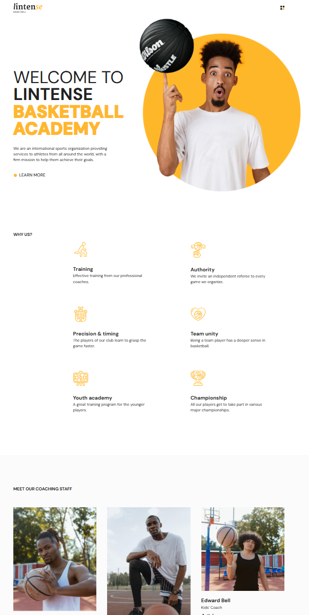 Шаблон лендинга для спортивной секции: пример страницы академии: стратегия